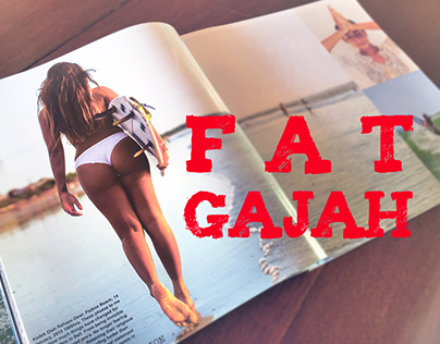 Fat Gajah Illustration 2015 - 2016