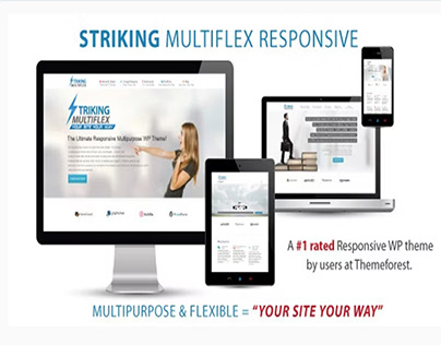 Striking - MultiFlex & Ecommerce Responsive WP Theme