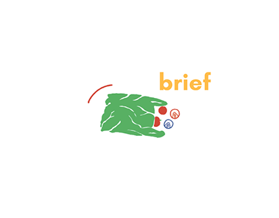 PROJECT BRIEF