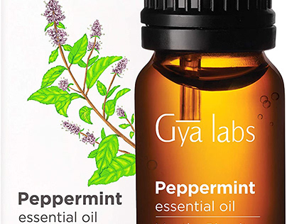 peppermint oil price today
