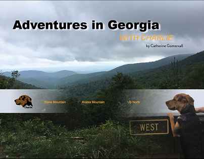 Adventures in Georgia with Charlie
