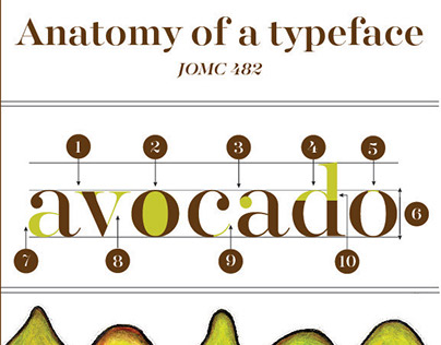 Avocado Typography