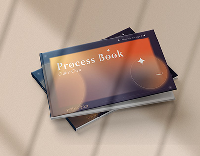 Process Book