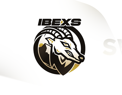 IBEXS Esport identity
