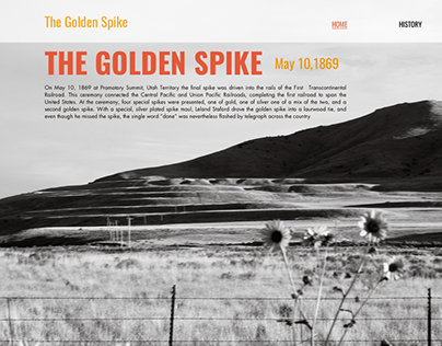 Golden Spike Website Design