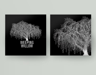Weeping Willow Logotipo