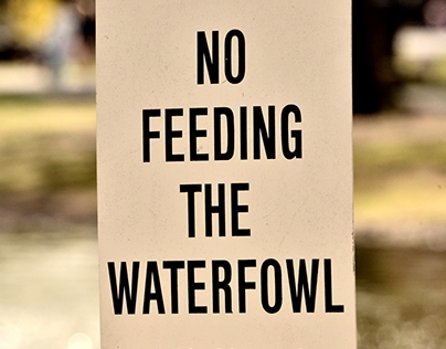 Don't Feed the Waterfowl