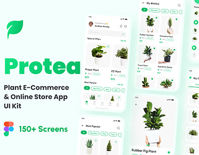 Project thumbnail - Protea Plant E-Commerce App Case Study