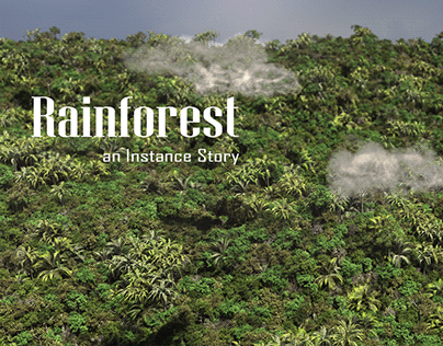 Rainforest - an Instance Story