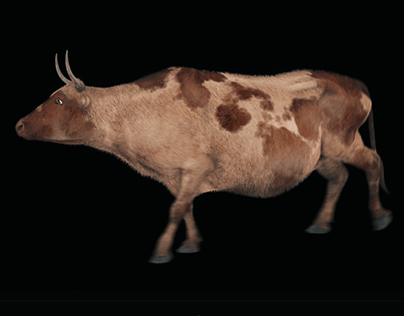 Cow Rigs + Randomize Script + Animation Mixer