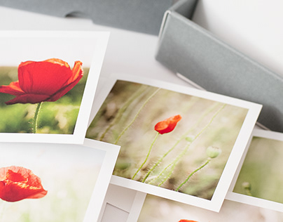 Simply common Poppies - artistic notecards