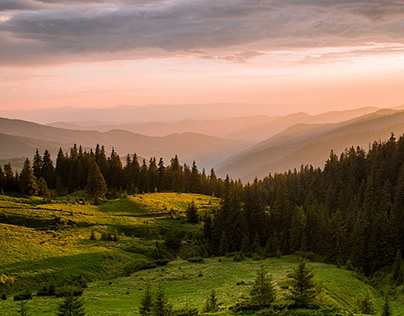 Summer in Carpathian mountains, Ukraine, Europe