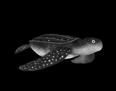 3D Model by Zbrush | Leatherback Sea Turtle