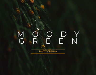 Moody Green