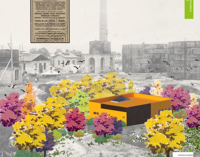 Capstone: Urban regeneration: Botanical garden (2024)
