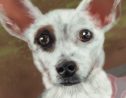Pets Digital Painting