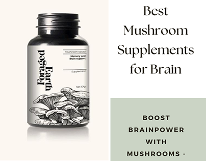 Best Mushroom Supplements for Brain Health