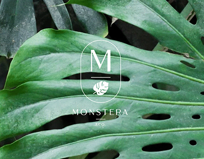 Monstera & Co.