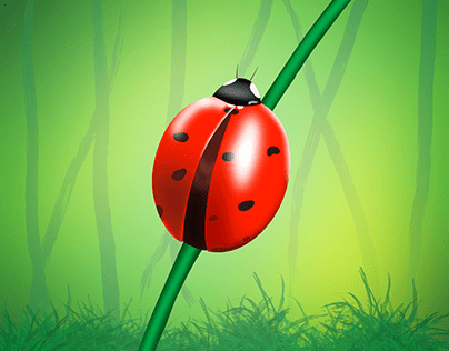 Ladybug Illustration
