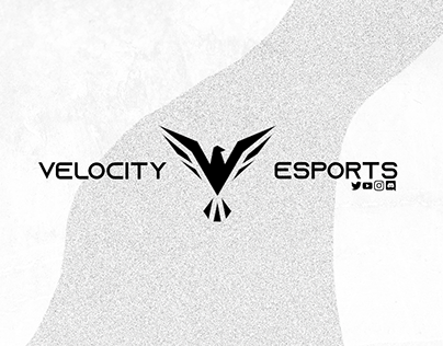Velocity eSports Revamp