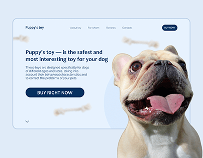 Landing page for a maker of eco-friendly dog toys.