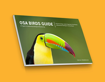 Guía de campo Osa Birds