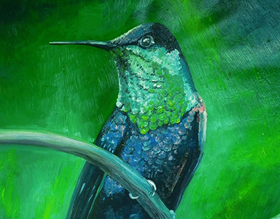Hummingbird Original Painting // The Birds of Venezuela