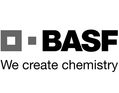 BASF Rebrand Group Project
