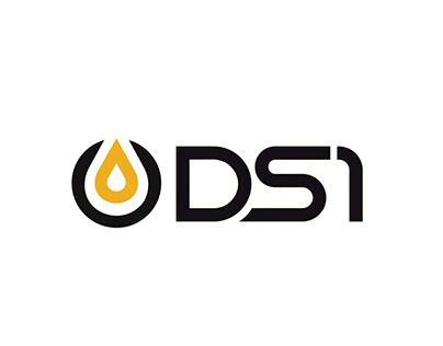 DS1 video įmonės projektas