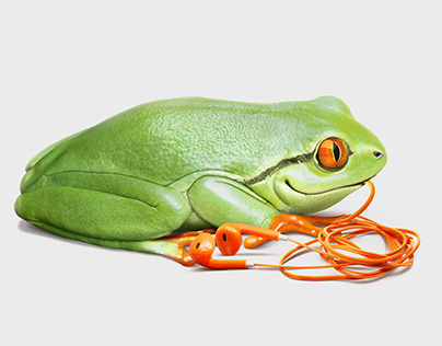 'Smart Frog' phone case