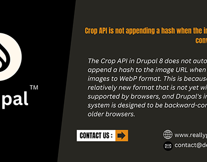 Crop API is not appending a hash when the image :