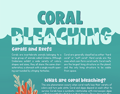 Coral Bleaching Infographic