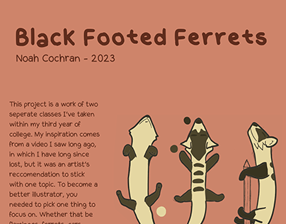Black Footed Ferret Project
