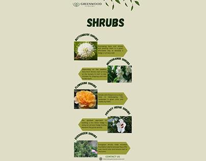 Landscape Shaping: A Guide to Versatile Shrubs
