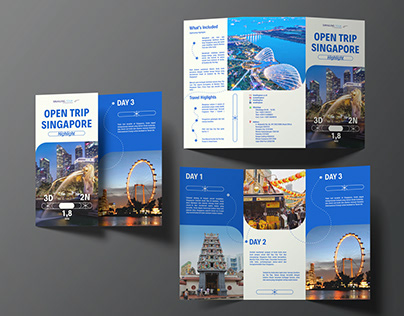 Brochure & Flyer Design