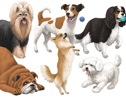 Dog illustration : the companion dogs