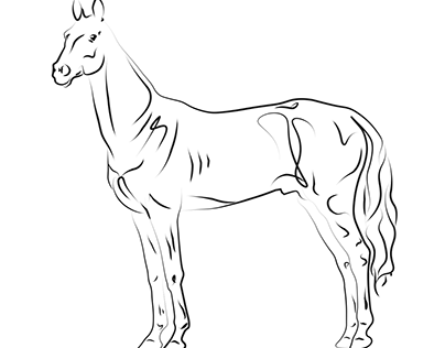 Achaltheke horse vector