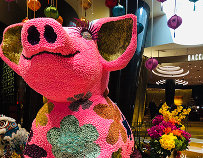 Henrietta; the Year of the Pig CNY Set Up (2019)