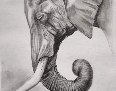 graphite  work with  pencils