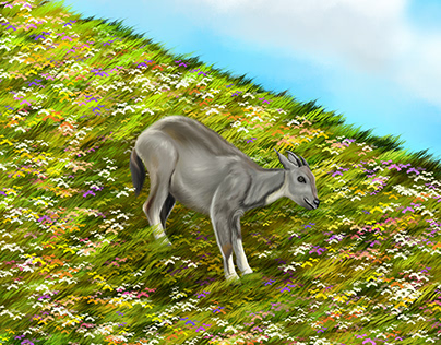 Grey goral- Digital painting.