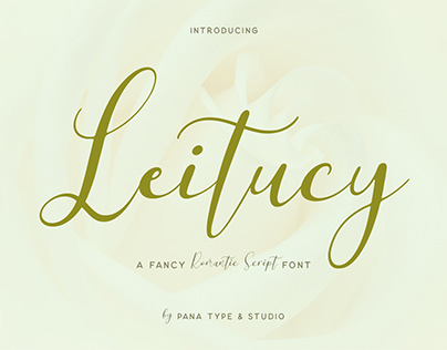 Leitucy Script Font