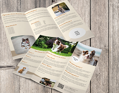Broschure for Pet Business