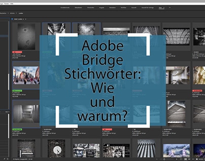 Adobe Brigde_Stichwörter