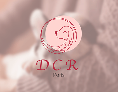 DCR Paris - Concept