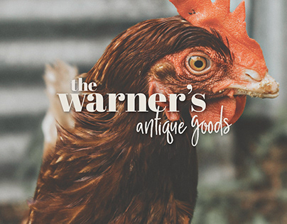 Rebrand Exercise: The Warners