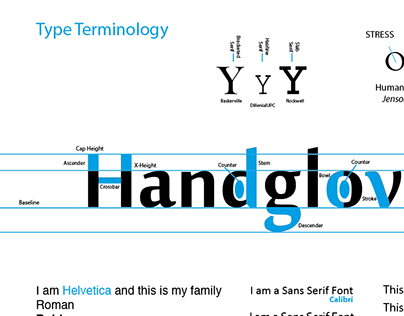 Type Terminology