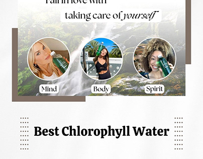 Refreshing Chlorophyll Water