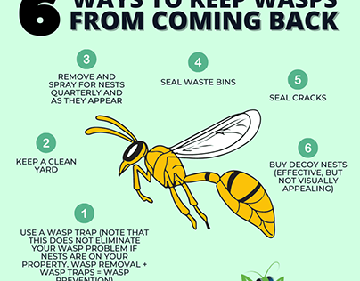 Six Way to Keep Wasps from Coming Back