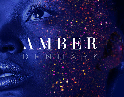 Amber Store - Logo Design
