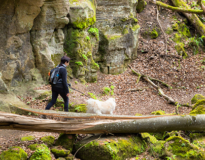 2022 Luxemburg, Mullerthal, Wanderer mit weißem Hund
